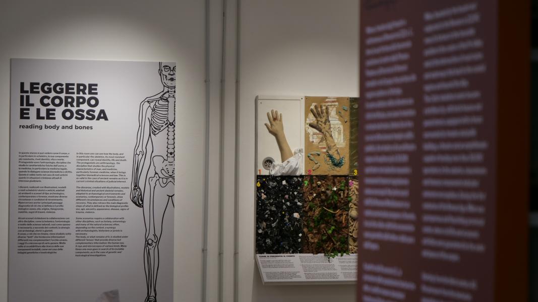 Le sezioni del MUSA, il Museo Universitario delle Scienze Antropologiche, mediche e forensi per i Diritti Umani dell’Università Statale di Milano