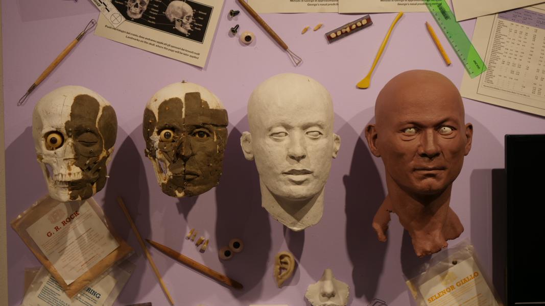 Le sezioni del MUSA, il Museo Universitario delle Scienze Antropologiche, mediche e forensi per i Diritti Umani dell’Università Statale di Milano