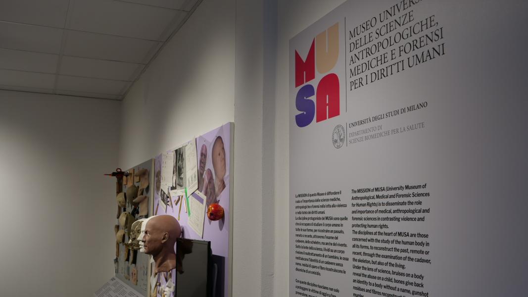 Le sezioni del MUSA, il Museo Universitario delle Scienze Antropologiche, mediche e forensi per i Diritti Umani dell’Università Statale di Milano