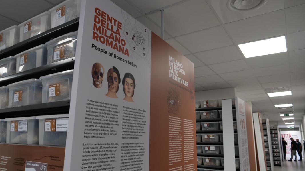 Le sezioni del MUSA, il Museo Universitario delle Scienze Antropologiche, mediche e forensi per i Diritti Umani dell’Università Statale di Milano