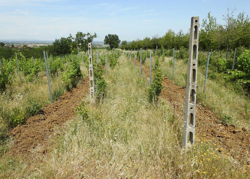 Lavorazione alternata