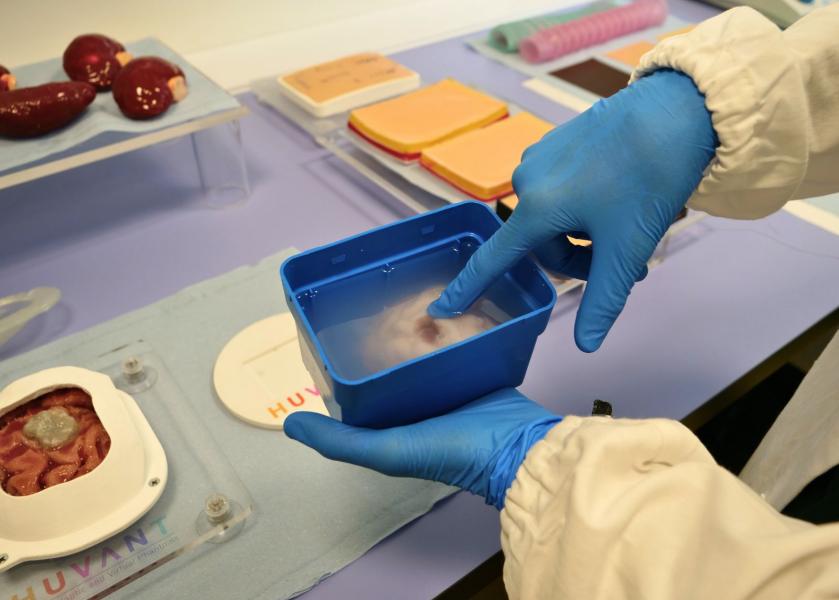 Organi realizzati nel laboratorio PRINTMED-3D.