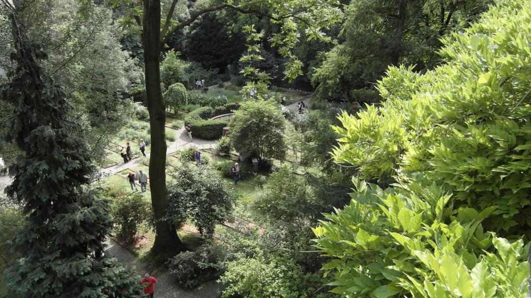 Uno scorcio, dall'alto, dell'Orto Botanico di Brera
