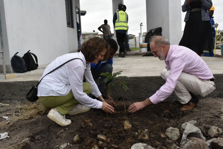 La piantina piantata dai docenti Stefania Recalcati e Massimo Locati  e da uno studente in segno di collaborazione tra la Statale e l'Ateneo del Mozambico