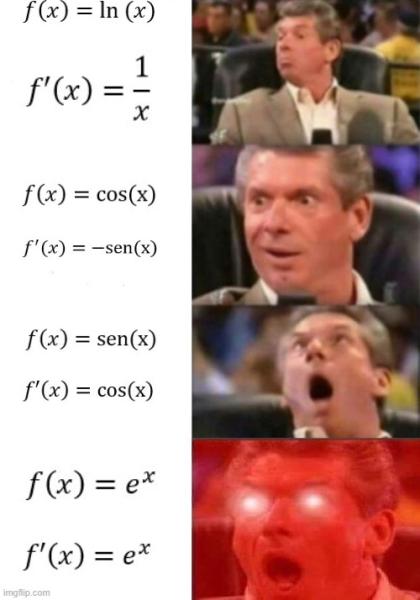 Meme matematico